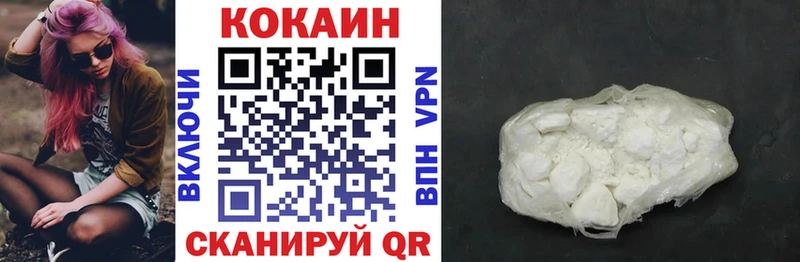 Cocaine Fish Scale  Купить закладки  Жердевка 