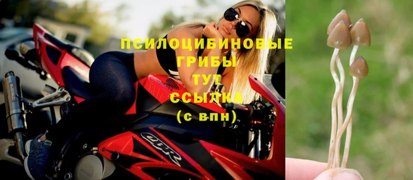 СК Красноперекопск