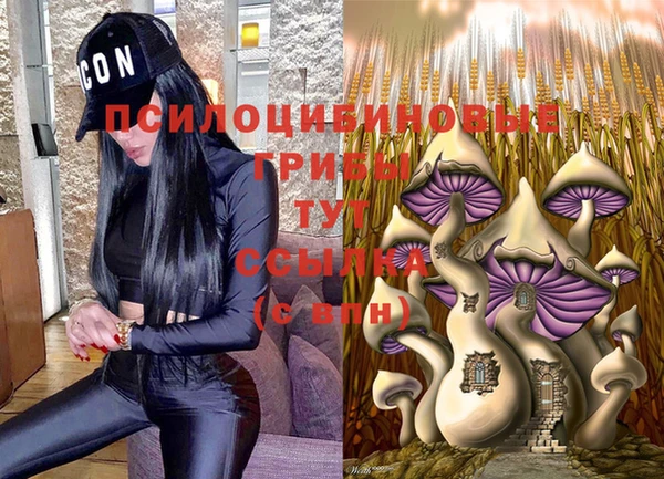 СК Красноперекопск