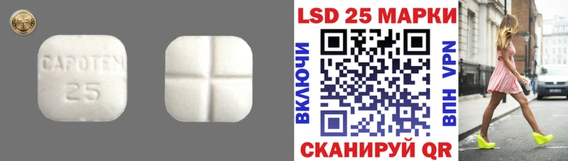 Лсд 25 экстази ecstasy  Купить закладки  Жердевка 